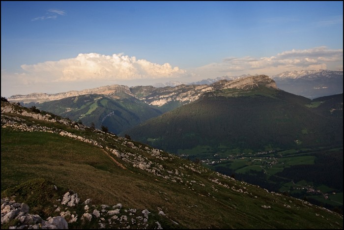 _MG_1086.jpg