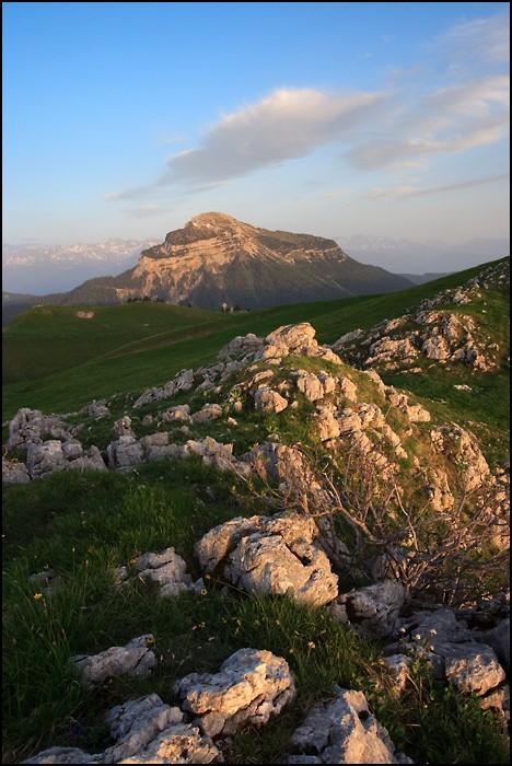 z_MG_0988.jpg
