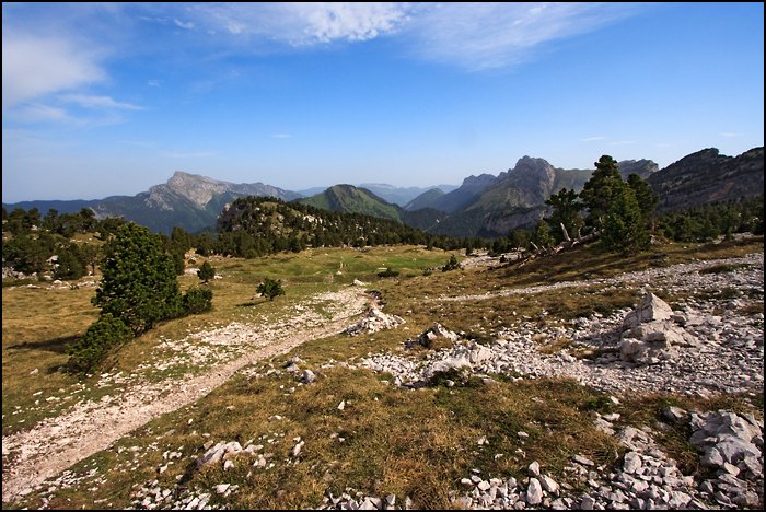 _MG_1024.jpg