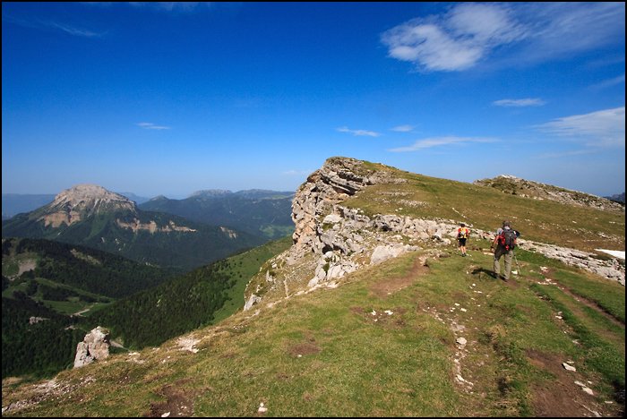 _MG_1038.jpg