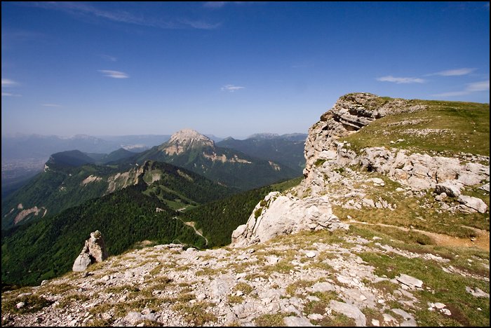 _MG_1041.jpg