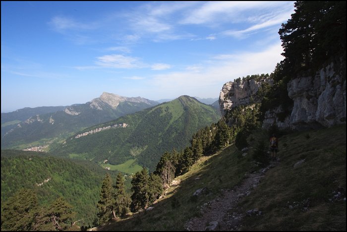 _MG_1047.jpg