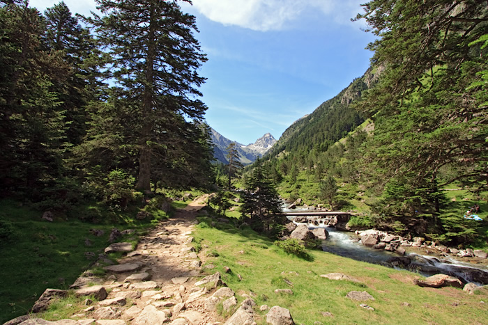 _MG_2364.jpg