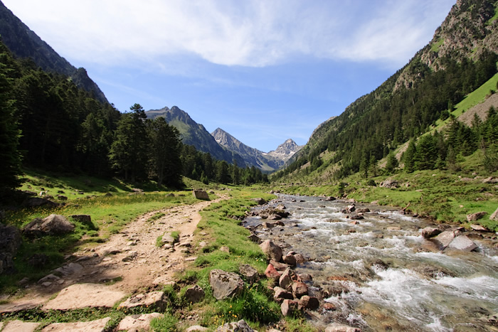 _MG_2367.jpg