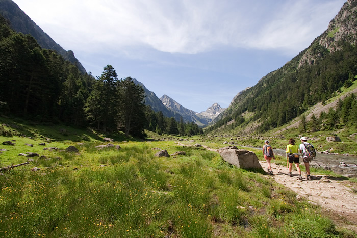 _MG_2369.jpg