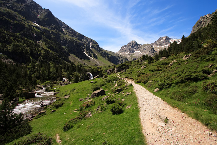 _MG_2376.jpg