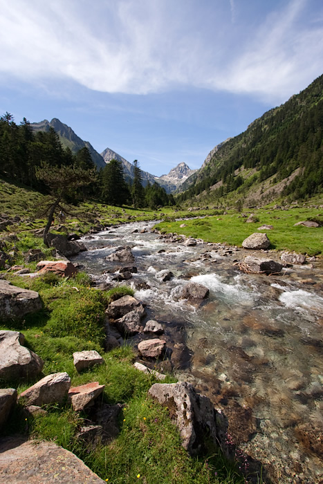 z_MG_2370.jpg