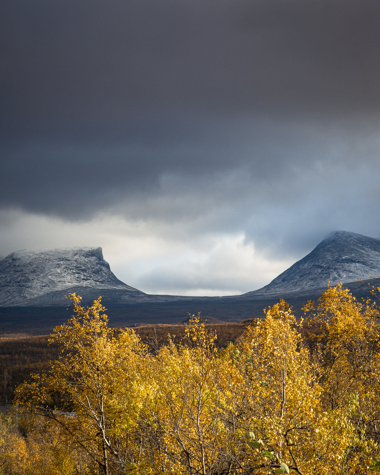Lapporten sous un ciel d'orage, bouleaux dorés en automne, Abisko, Suède