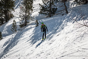 Altitoy Ternua 2017 IMG_0327.jpg