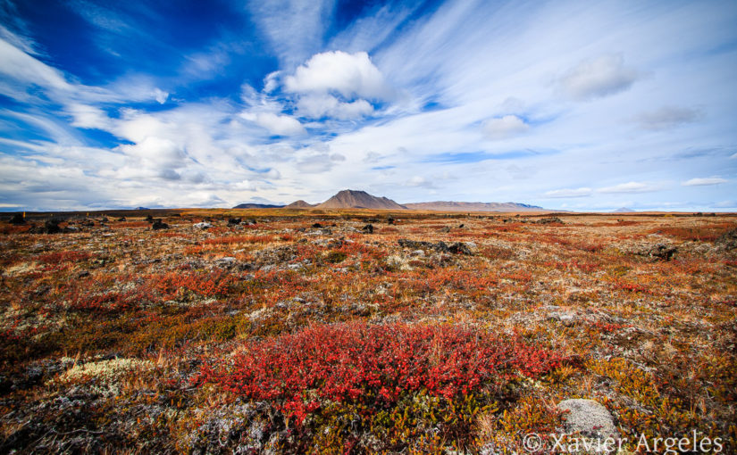 Paysage d’automne en Islande