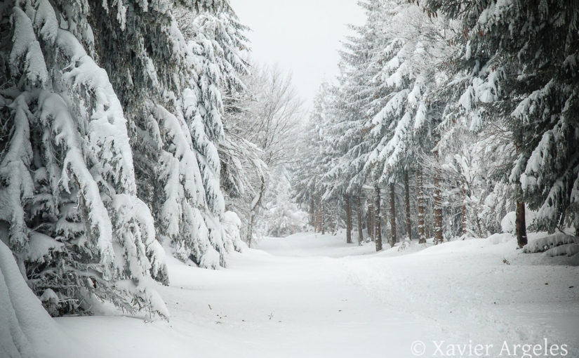 Sentier botanique de Laguiole sous la neige