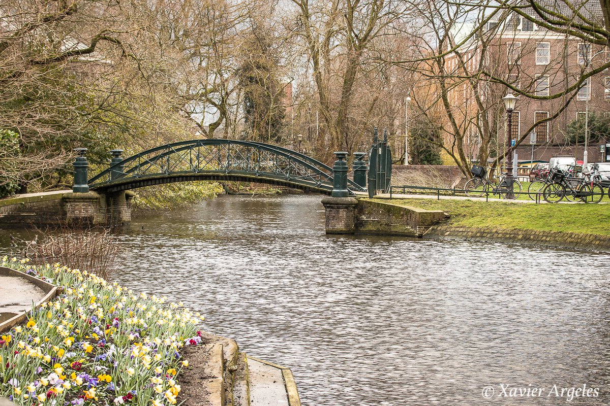 Jardin Botanique D'amsterdam